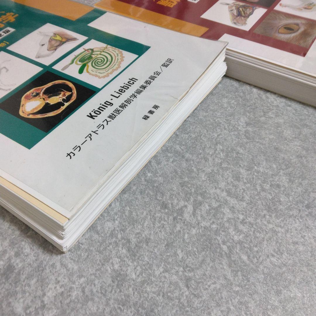 カラーアトラス獣医解剖学 増補改訂第2版 上下巻セット