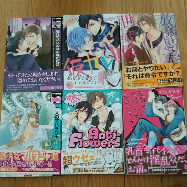 ＢＬコミックー２４冊