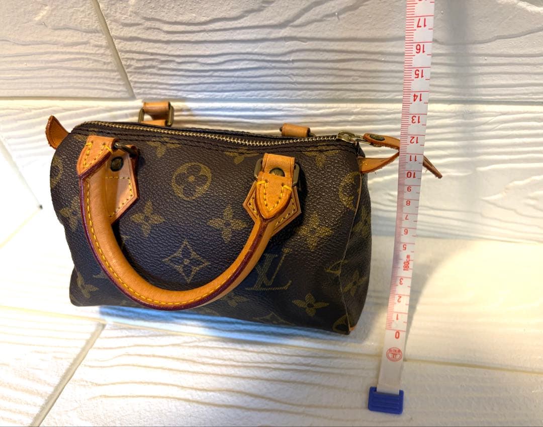 Louis Vuitton ミニ　ショルダー　バッグ モノグラム　ルイヴィトン