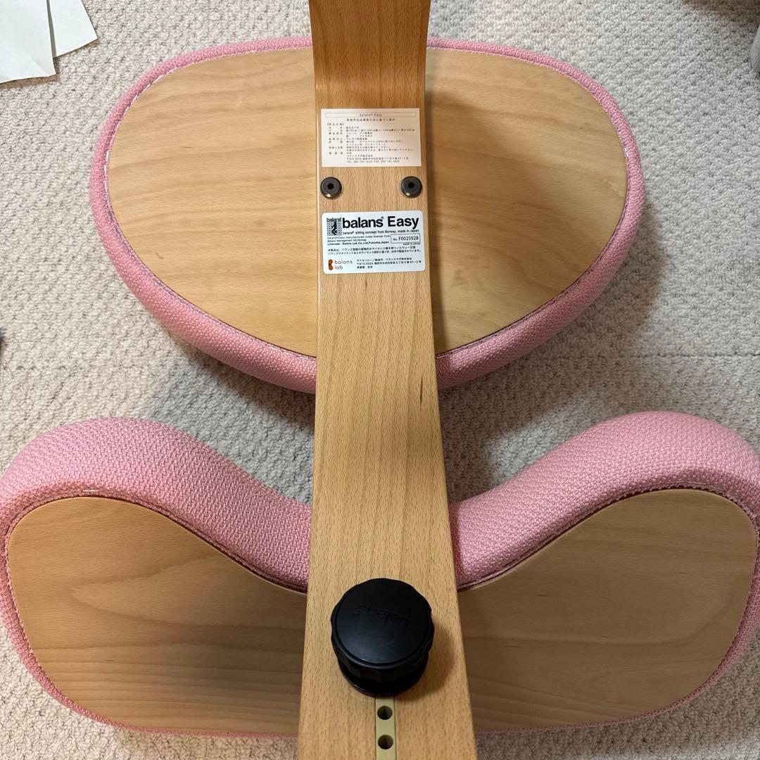 バランスラボ　バランスイージー 正規品、美品