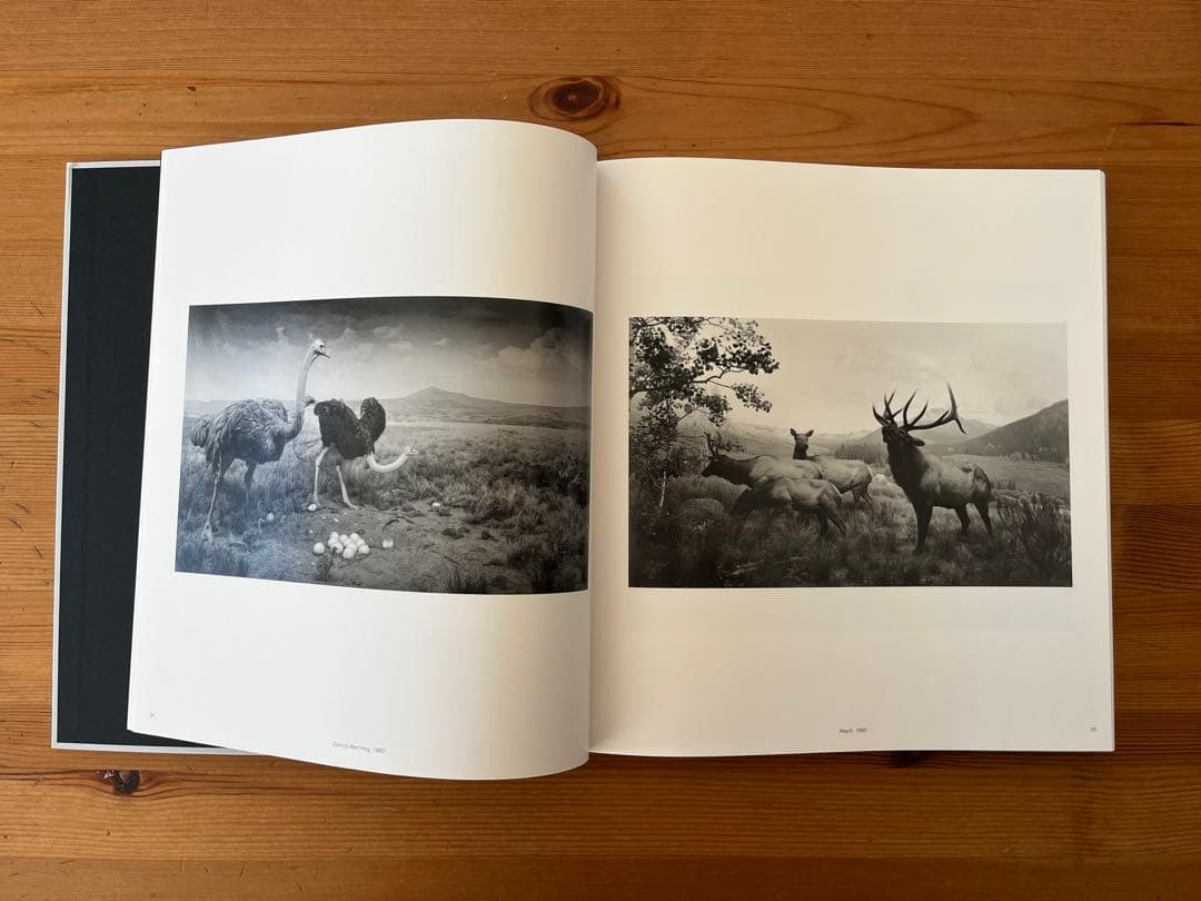 アート・デザイン・音楽 Hiroshi Sugimoto Time Machine