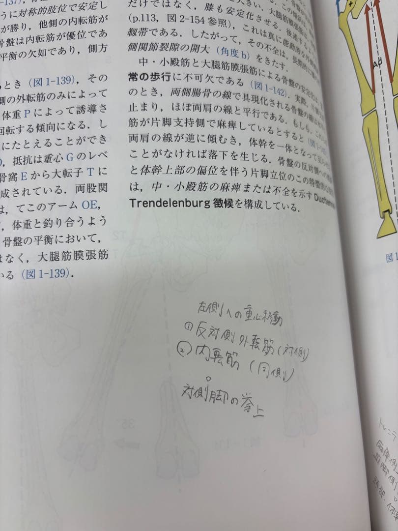 カパンジー 機能解剖学 7版 3冊セット