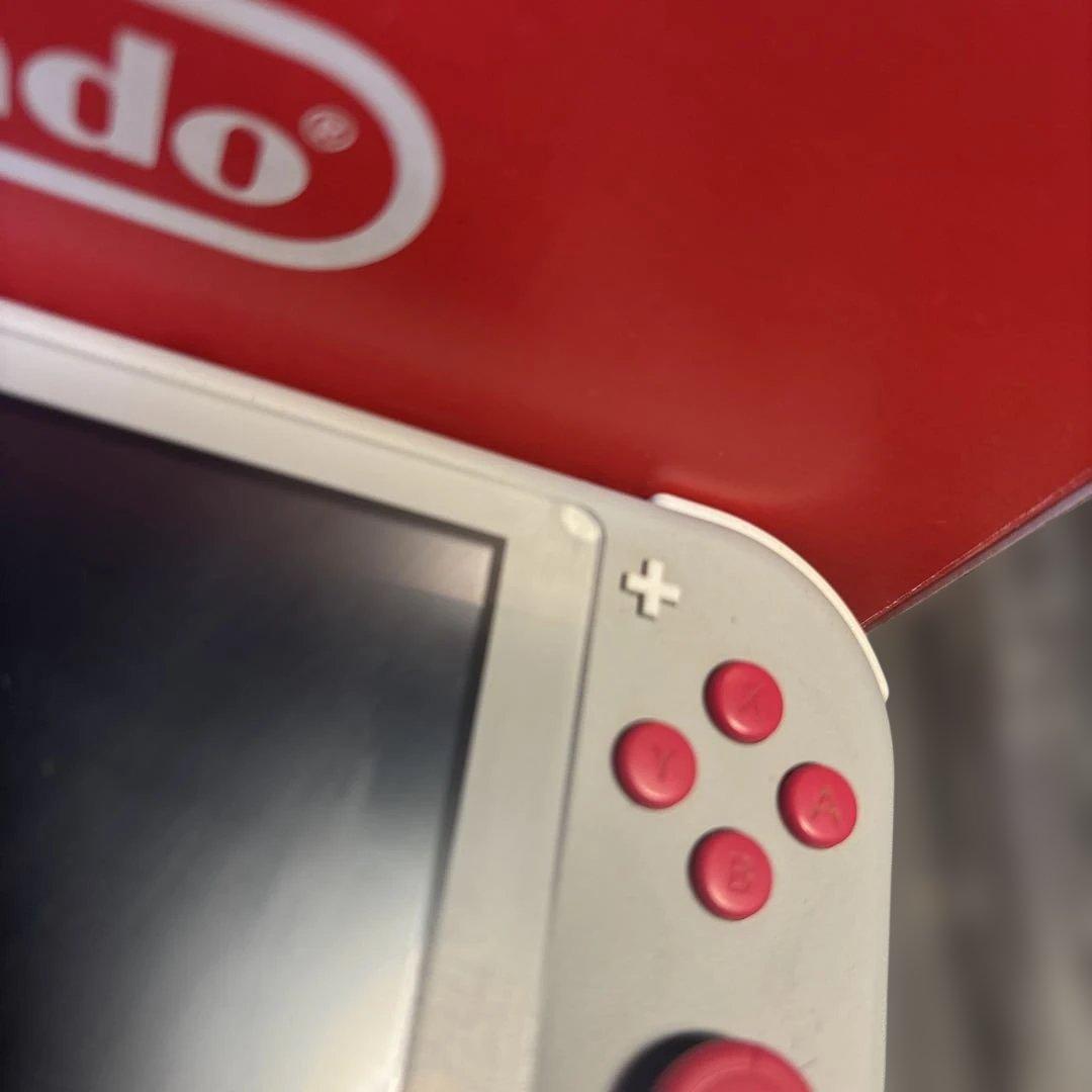 イ*カ様 Nintendo Switch Lite ポケモンデザイン