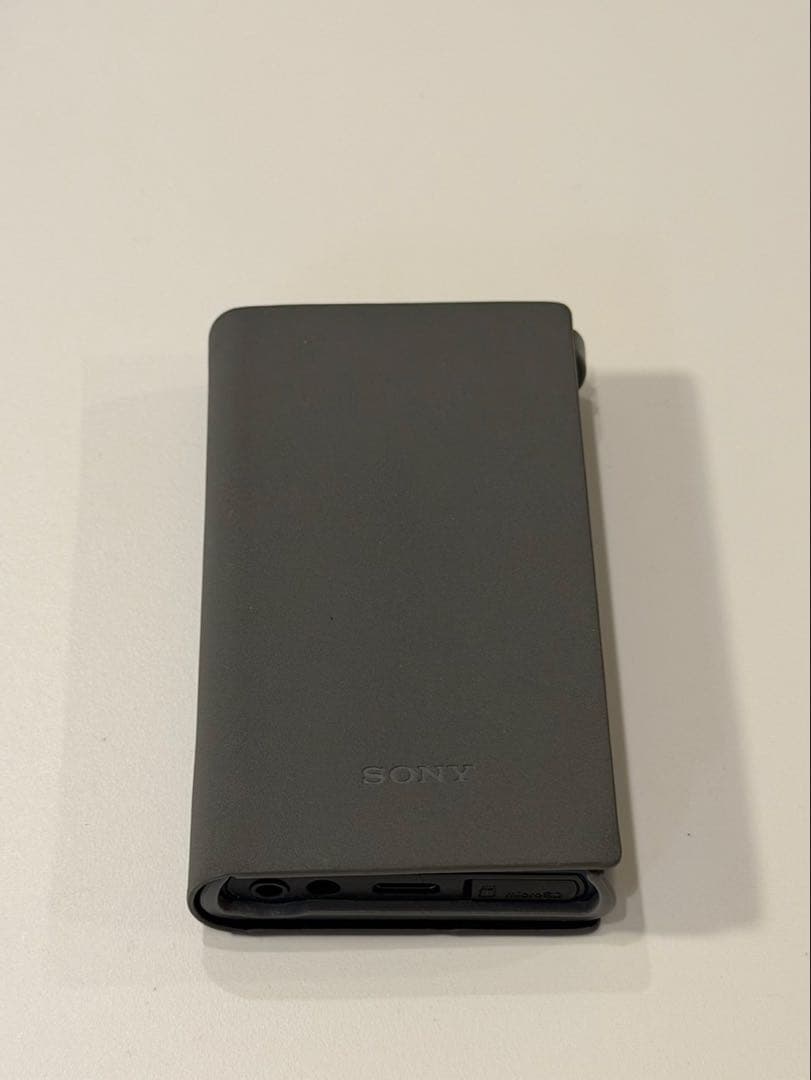 NW-A306 microSDXC512GB/ケース付 SONY WALKMAN