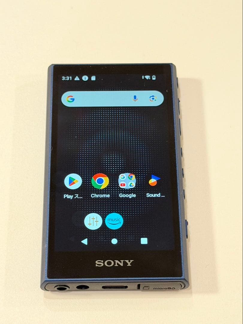 NW-A306 microSDXC512GB/ケース付 SONY WALKMAN