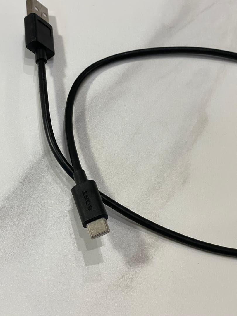 NW-A306 microSDXC512GB/ケース付 SONY WALKMAN