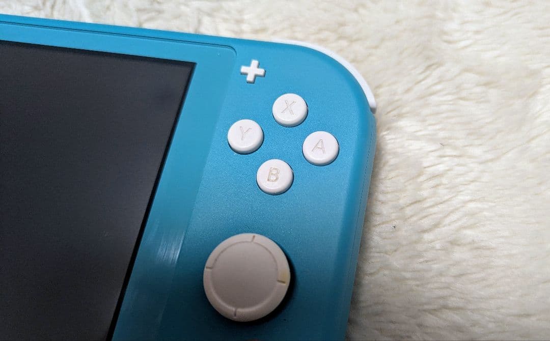 128GBmicroSD付属 Switch lite あつまれどうぶつの森 仕様
