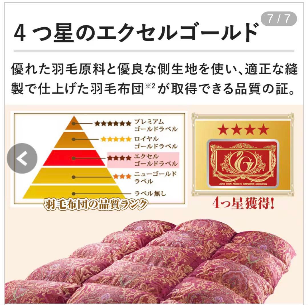 【新品未使用】モリリン フランス産ダウン85％羽毛布団　ダブルロング