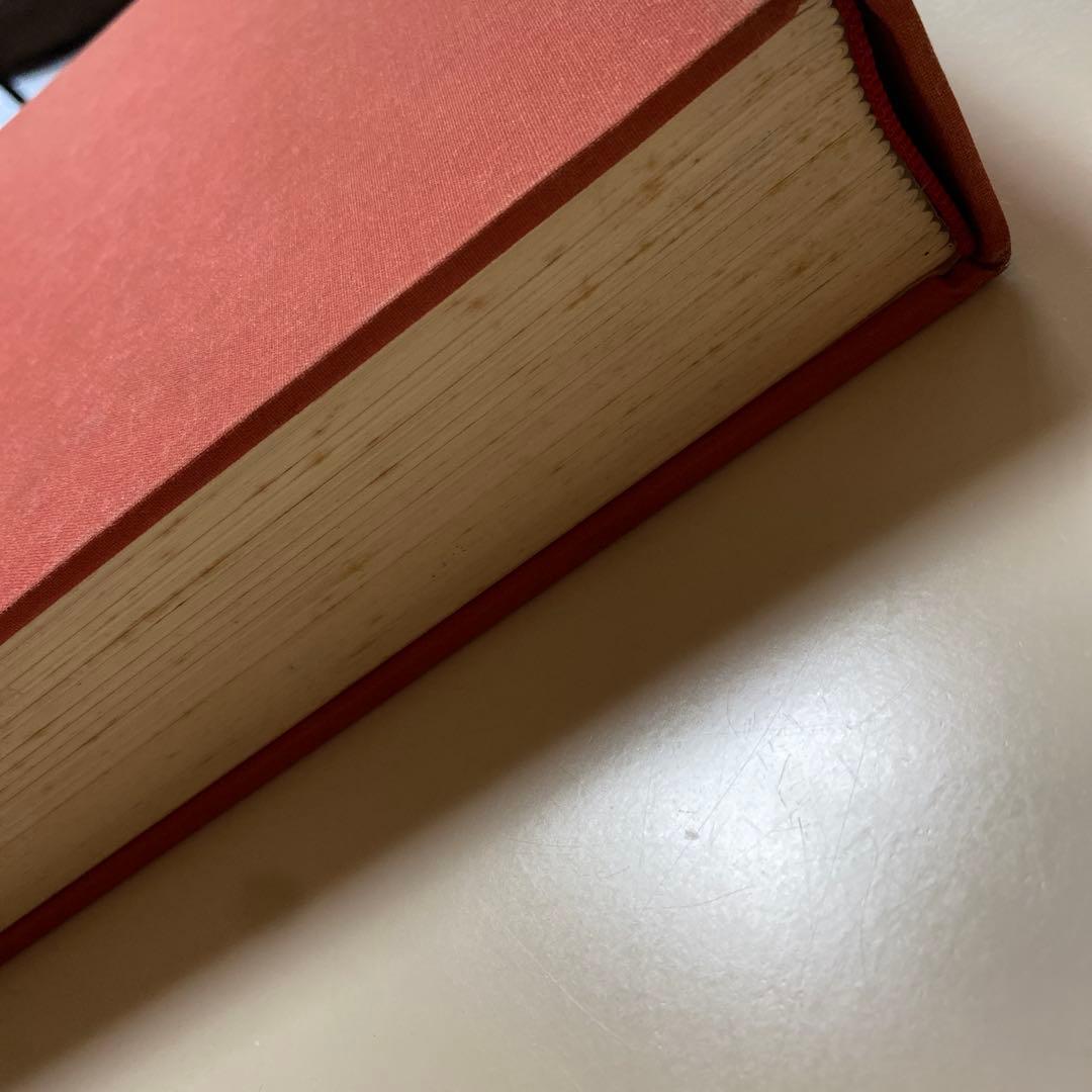 美術書 ダヴィンチLeonardo & Venezia Bompiani