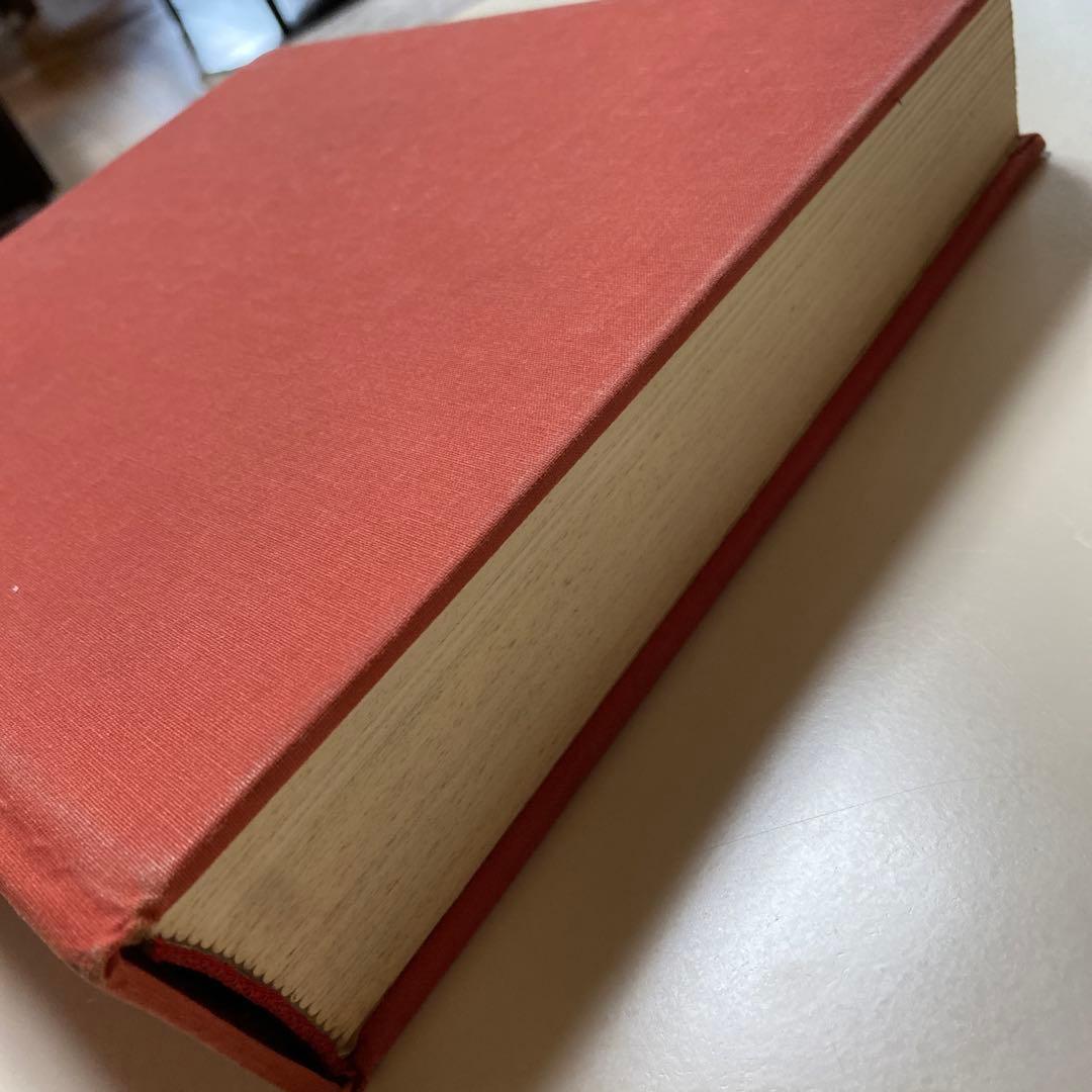 美術書 ダヴィンチLeonardo & Venezia Bompiani