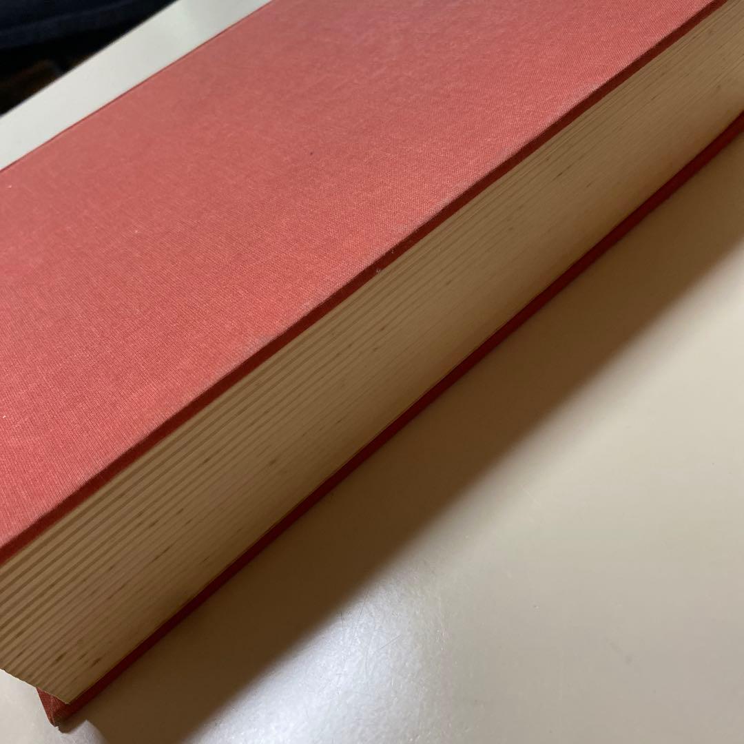 美術書 ダヴィンチLeonardo & Venezia Bompiani