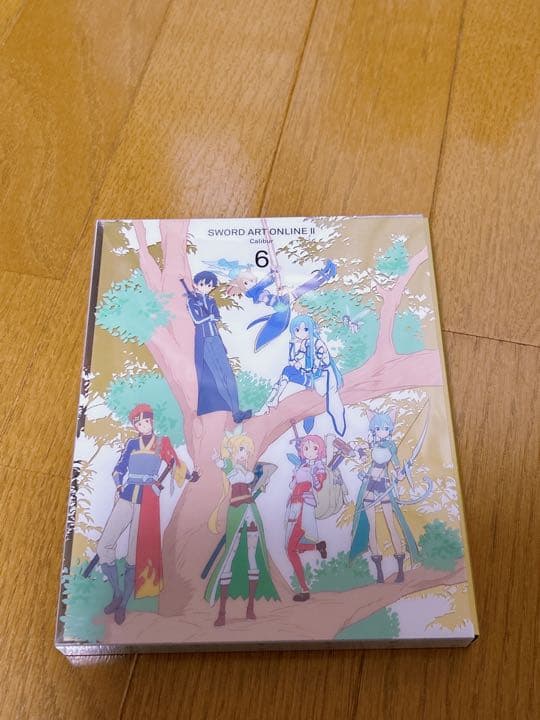 SAO 2nd DVD-BOX下巻