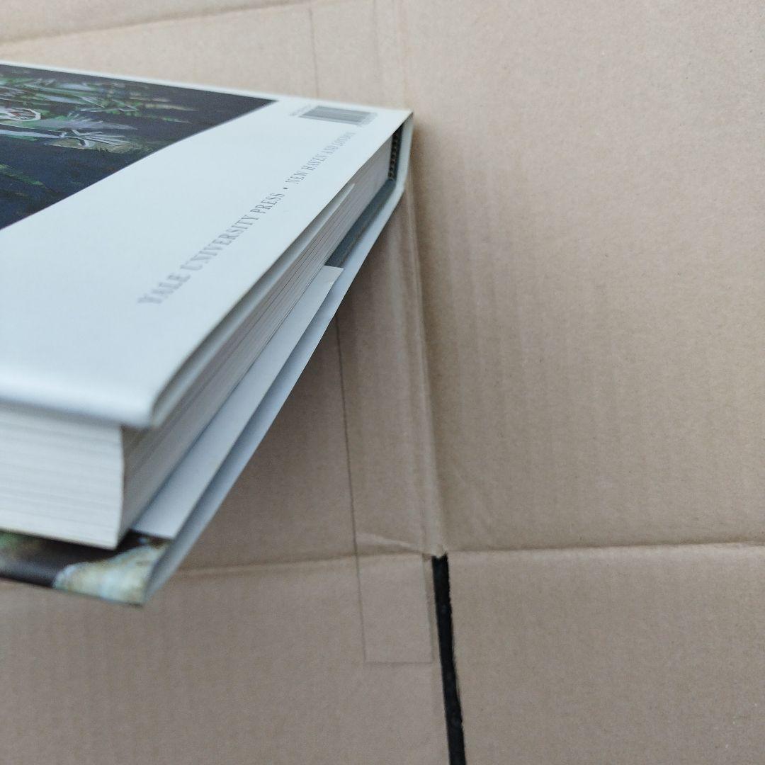 AVANT GARDE ART AND GREAT WAR CORK著