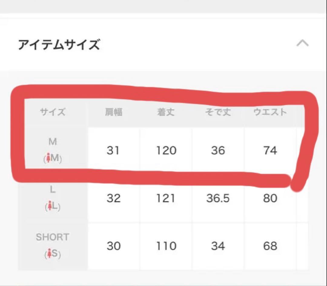 niana オーガンジーパフスリーブ刺繍レースドレス