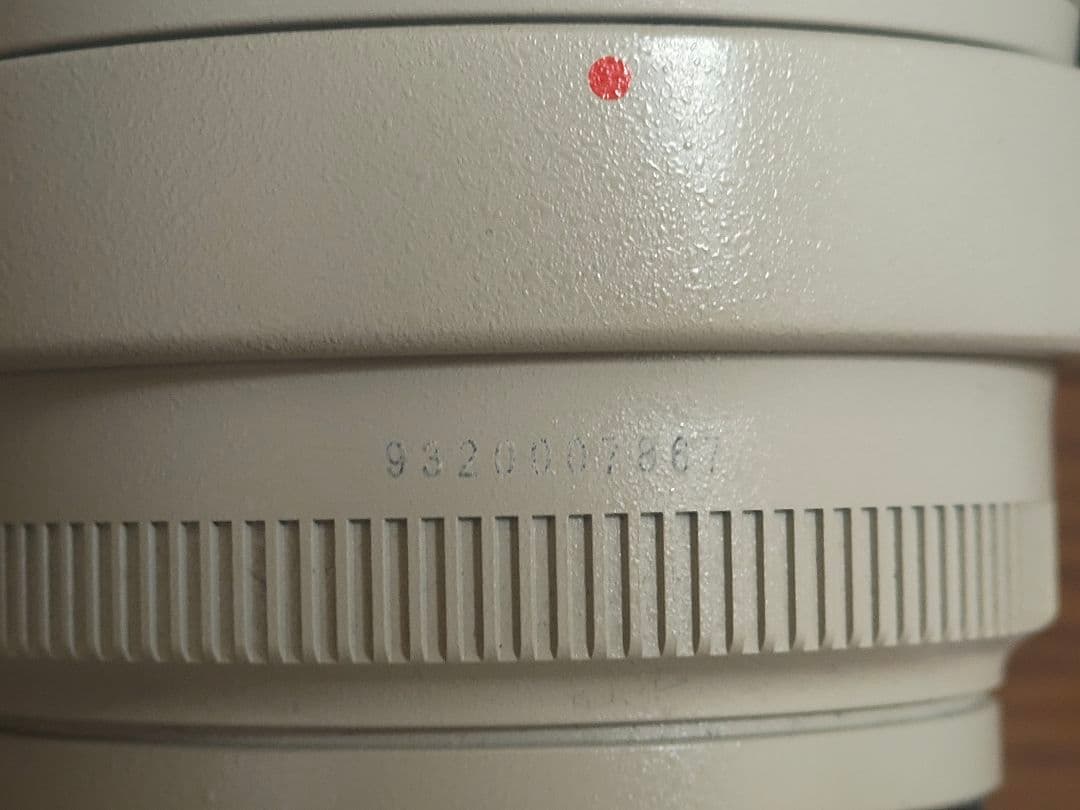 Canon EF 70-200mm f/2.8L IS II USM 望遠ズーム