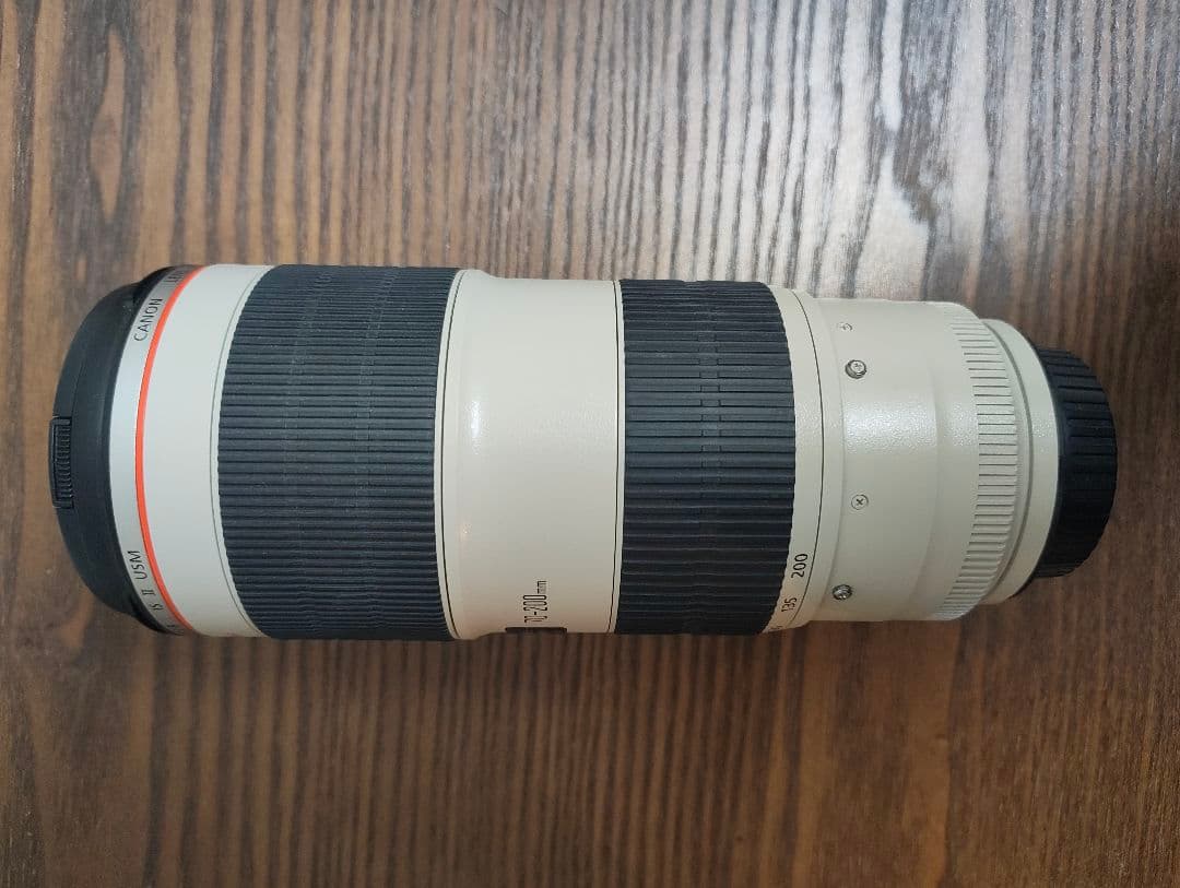 Canon EF 70-200mm f/2.8L IS II USM 望遠ズーム