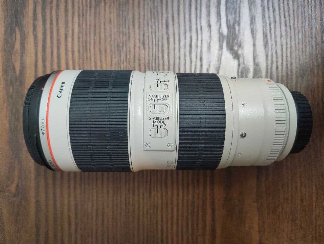 Canon EF 70-200mm f/2.8L IS II USM 望遠ズーム