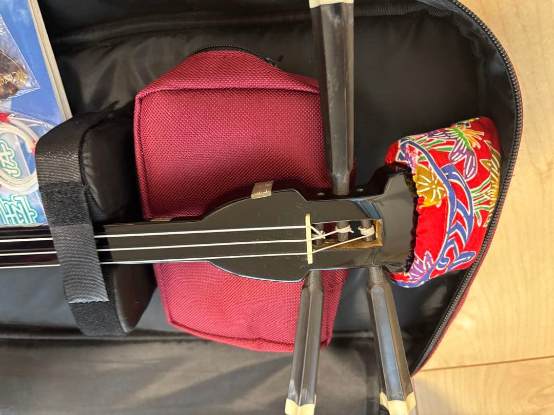 ヘビ柄 三線 本体 教本付き