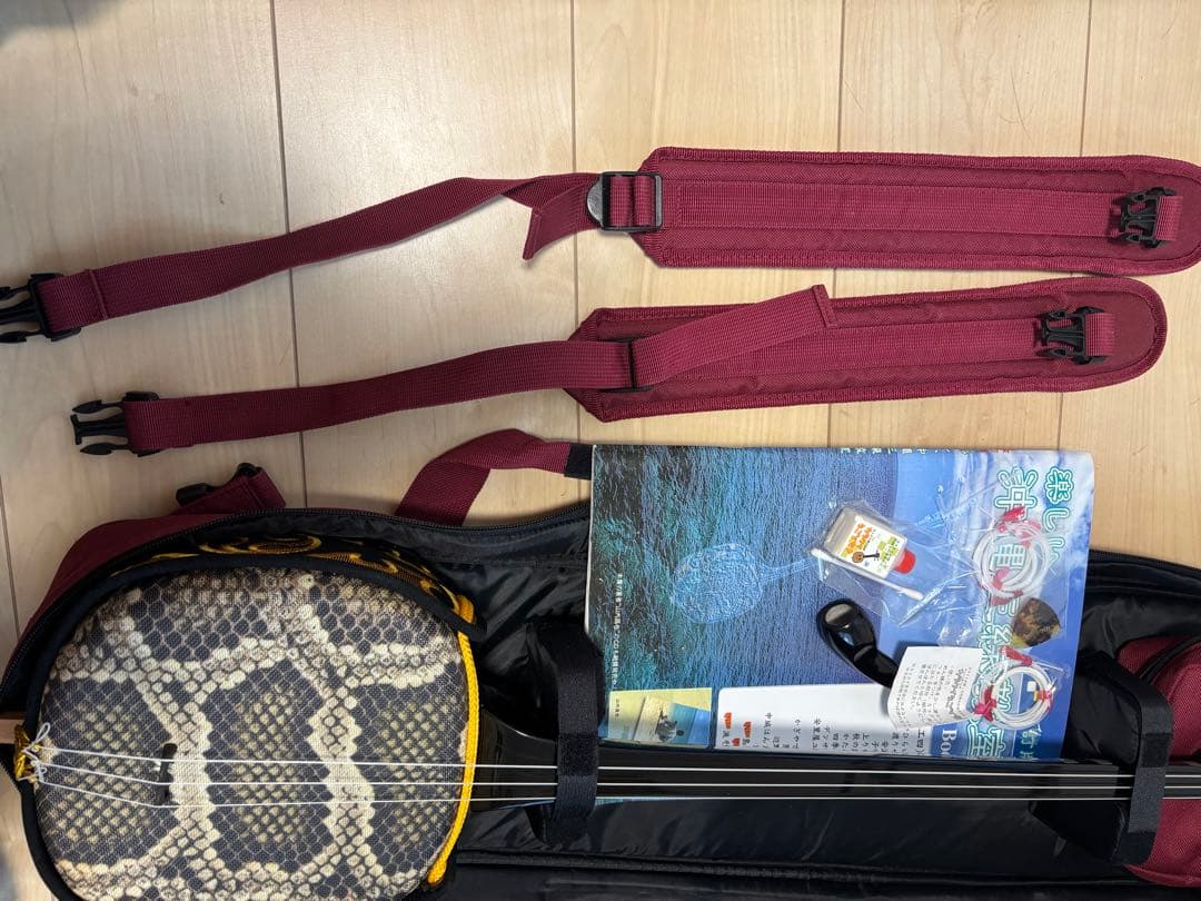 ヘビ柄 三線 本体 教本付き