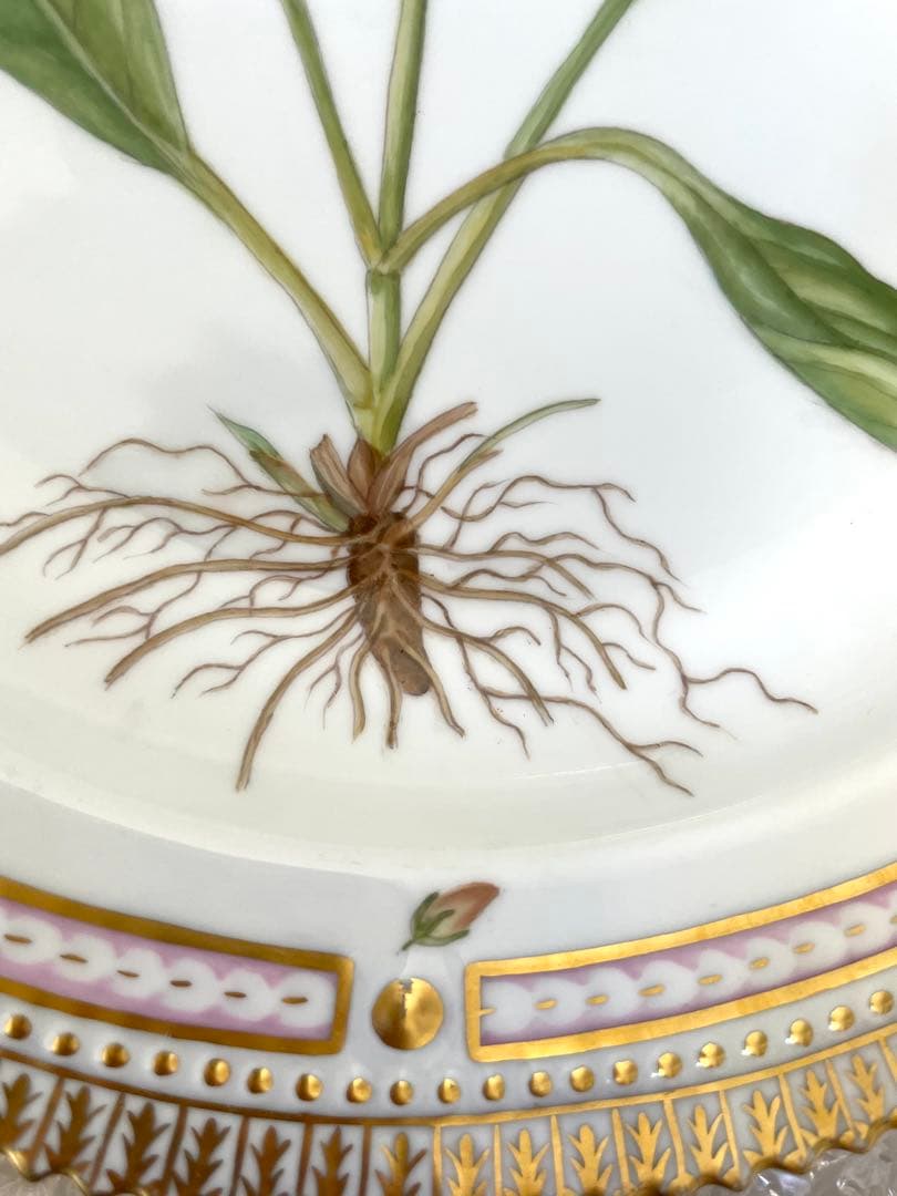 ちゃんおがわロイヤルコペンハーゲン　フローラダニカ　大皿　オーバル