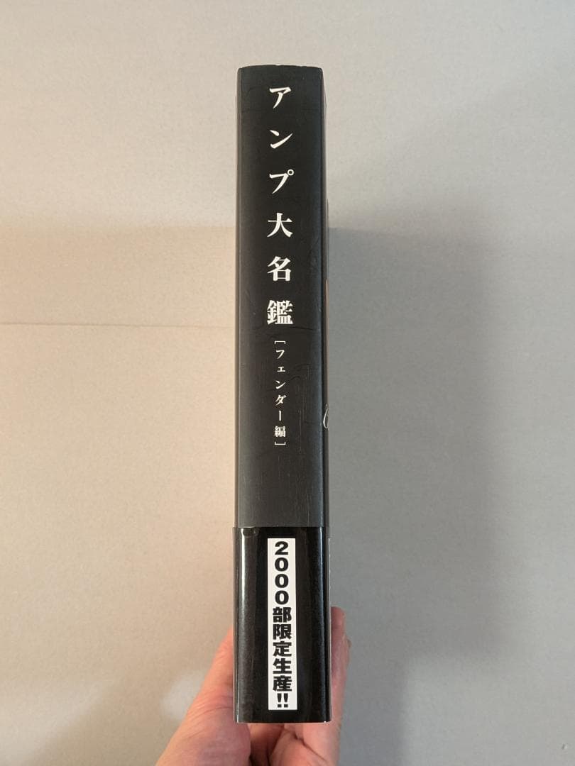 「※希少　貴重」　アンプ大名鑑　Fender編　トム・ウィーラー著