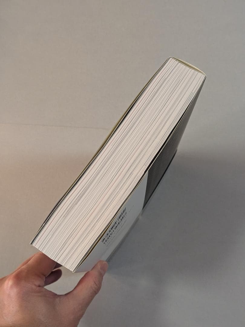 「※希少　貴重」　アンプ大名鑑　Fender編　トム・ウィーラー著