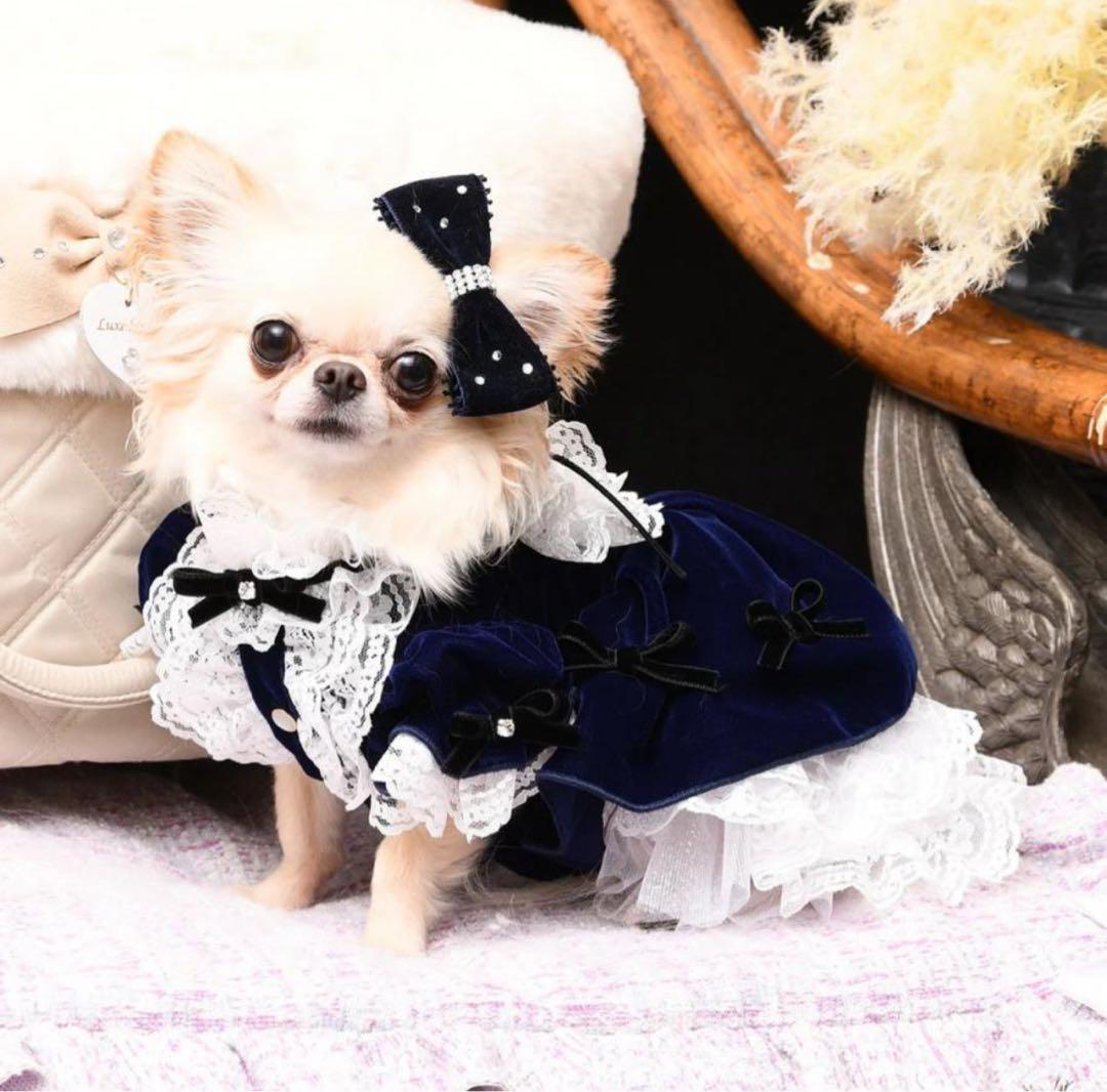 m*o様 新品　 luxebirdie エリアスワンピース　 ネイビー