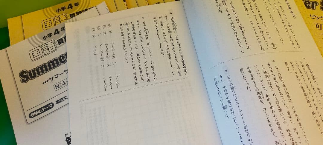 サピックス　夏期講習 国語　小４　サマーサピックス 全12冊フルセット