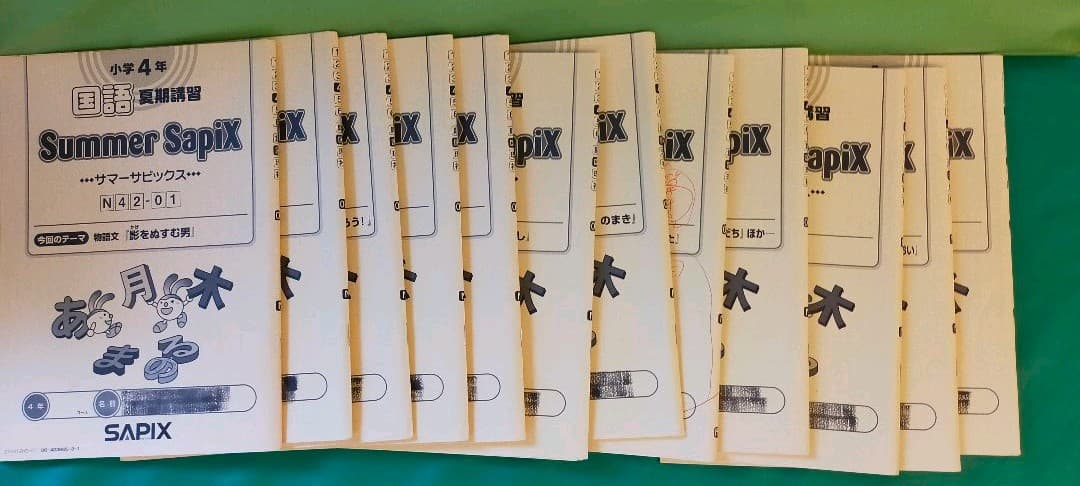 サピックス　夏期講習 国語　小４　サマーサピックス 全12冊フルセット