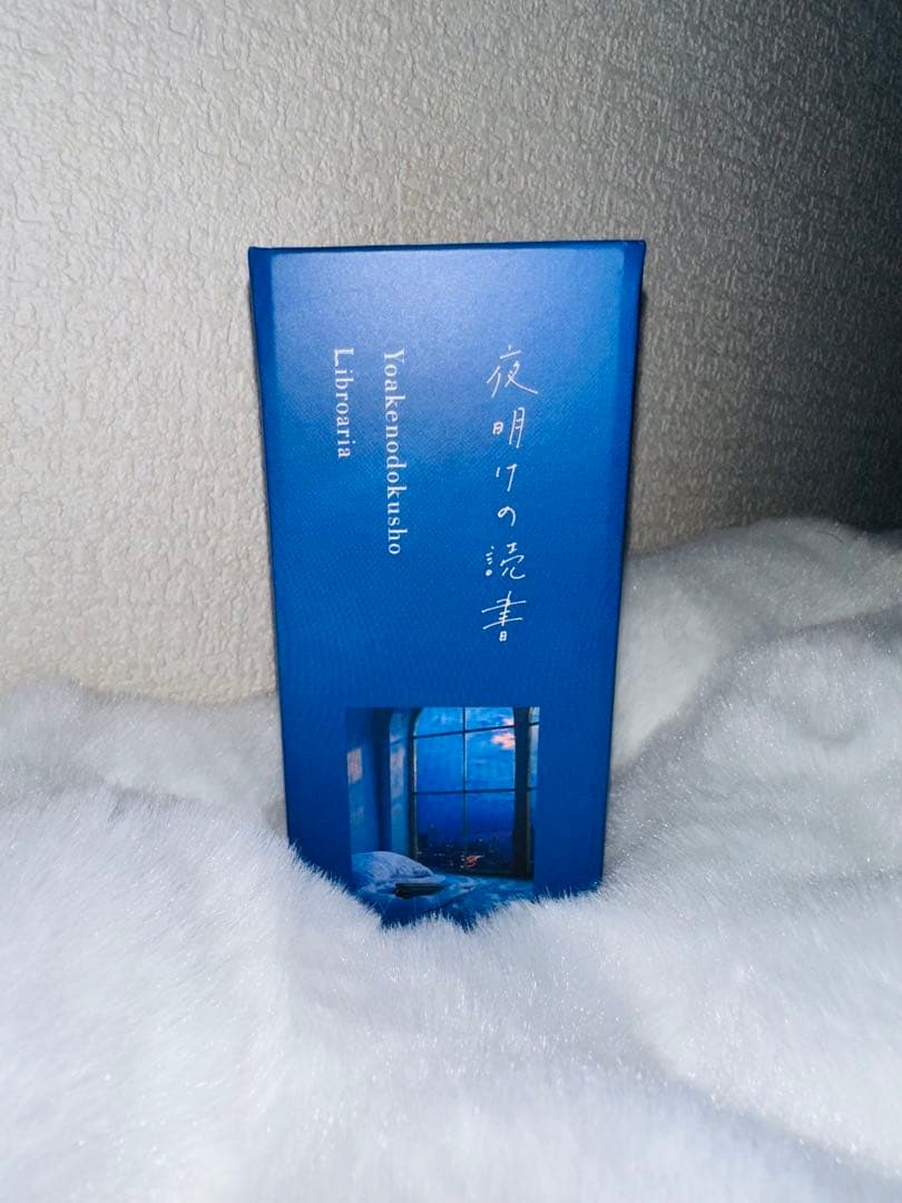 Libroaria 夜明けの読書