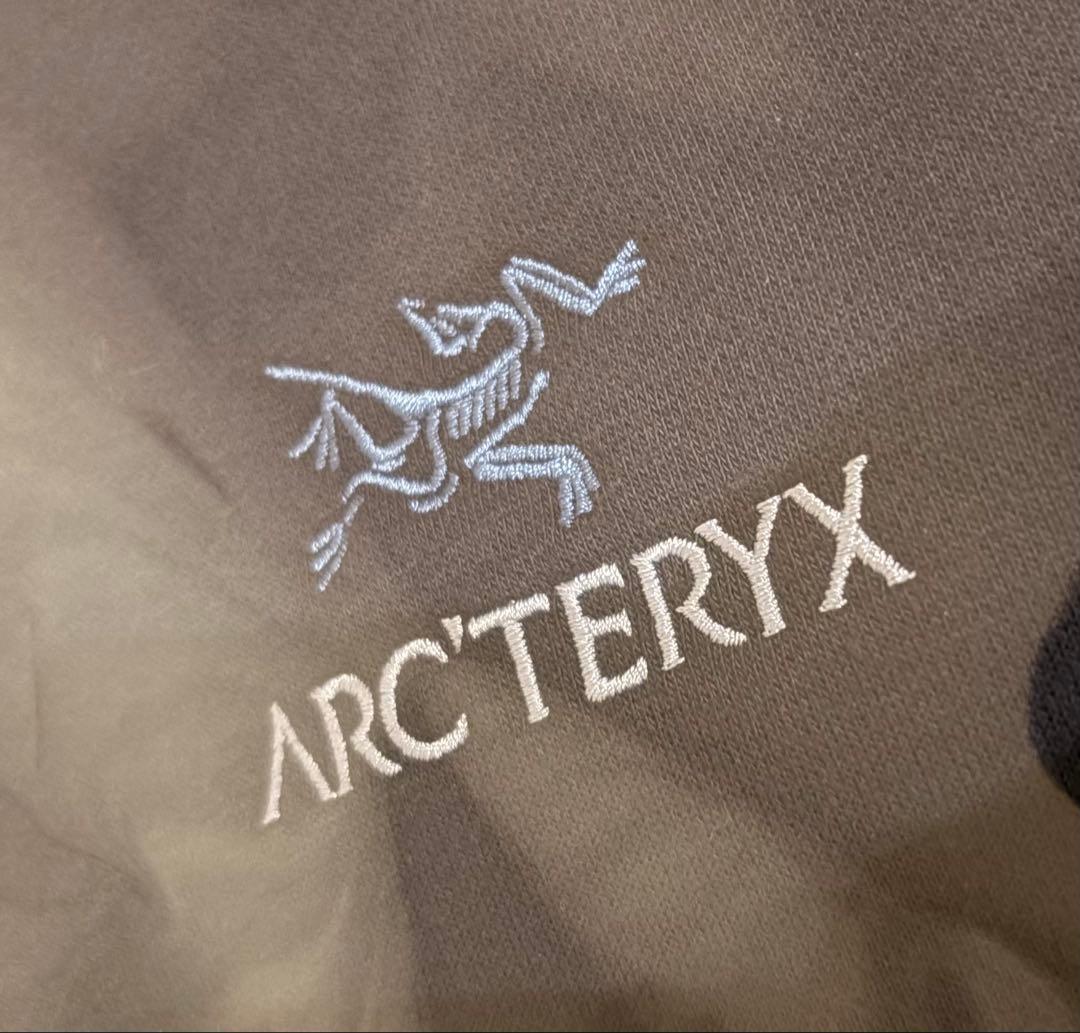 【美品】M ブラックサファイア Arc'teryx エンブレムフリースフーディ