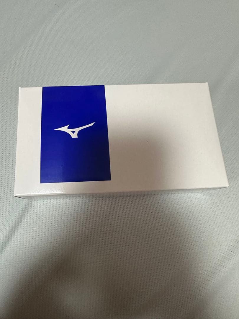 【残り1点】特注品　XL(LL)サイズ ホワイト ミズノ 競泳水着 送料無料