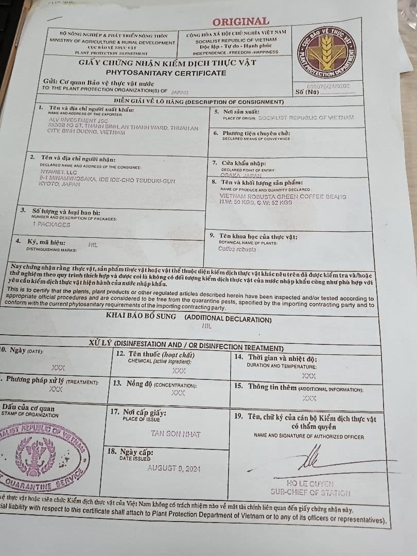 コーヒー生豆　クッキー　ロブスター5kg