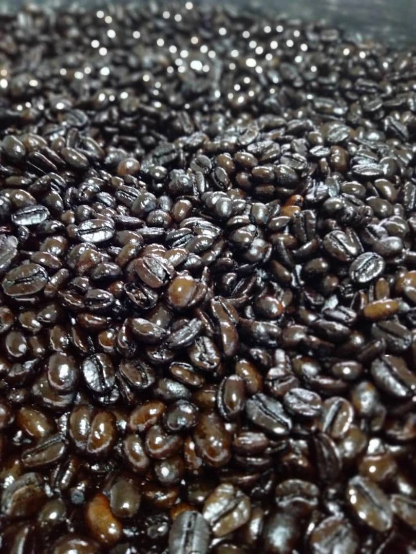 コーヒー生豆　クッキー　ロブスター5kg