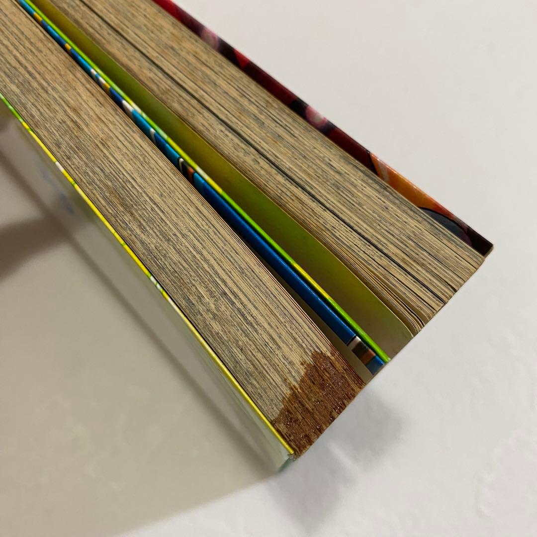 天燃色男児BURAY ブライ 高橋一雅 遊戯王 希少本 レア 初版