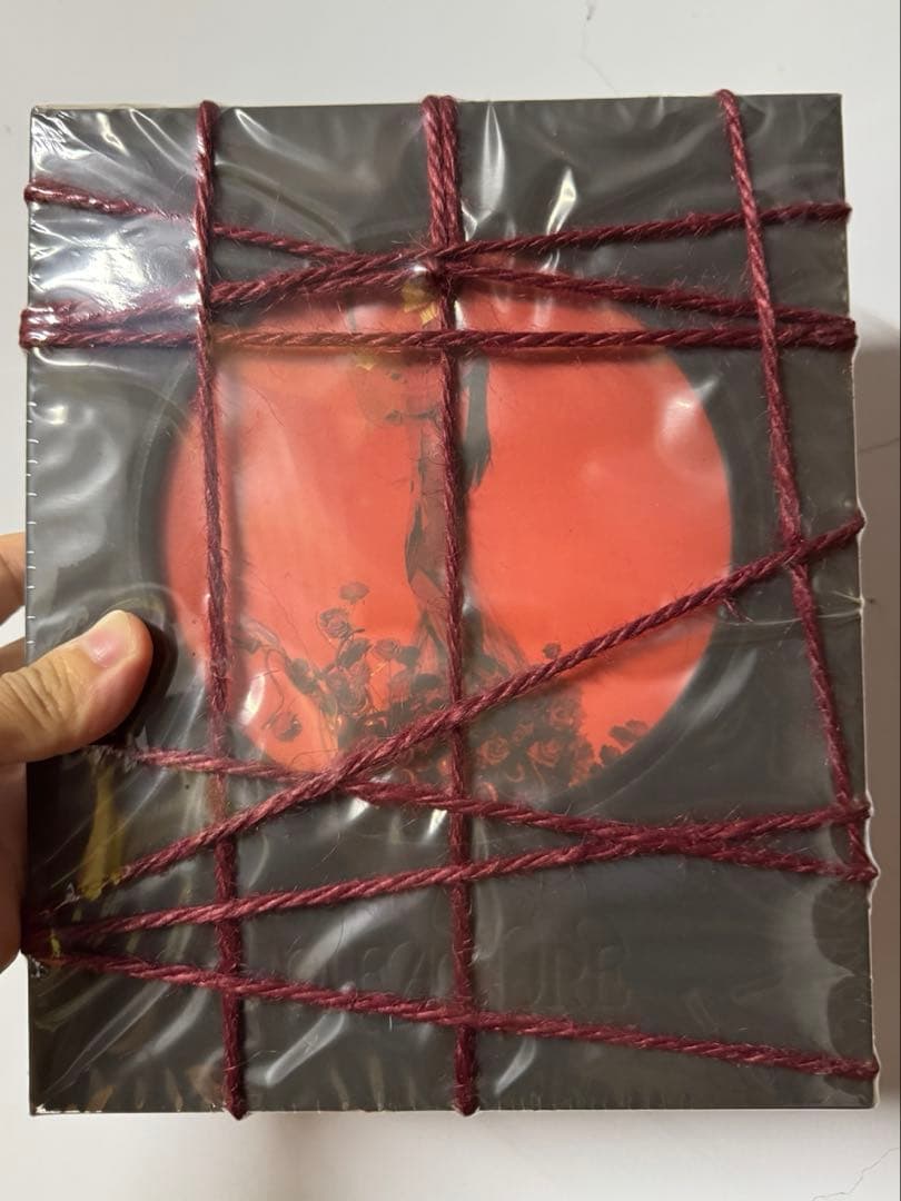 蔡依林 Jolin PLEASURE CDアルバム 限定盤 七罪花園版 ジョリン