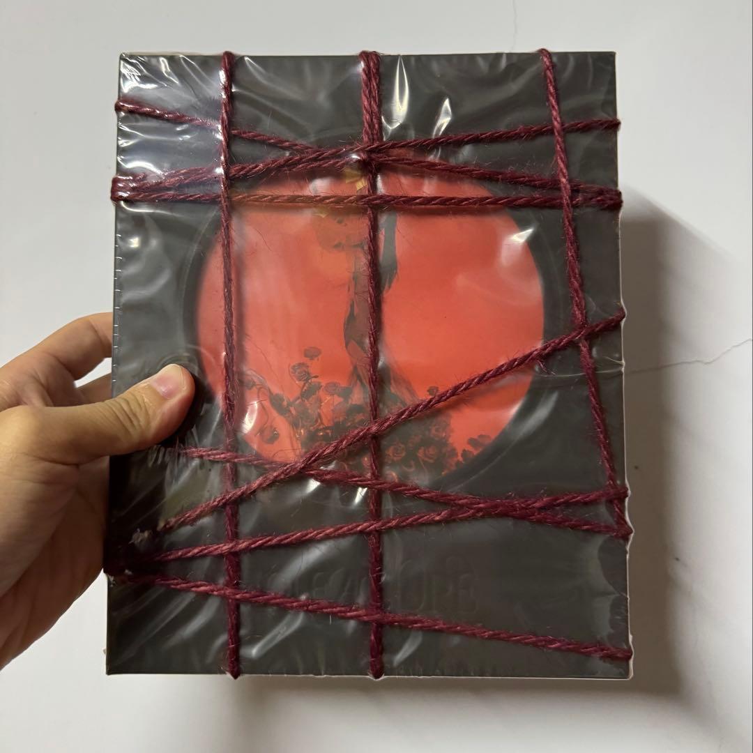 蔡依林 Jolin PLEASURE CDアルバム 限定盤 七罪花園版 ジョリン