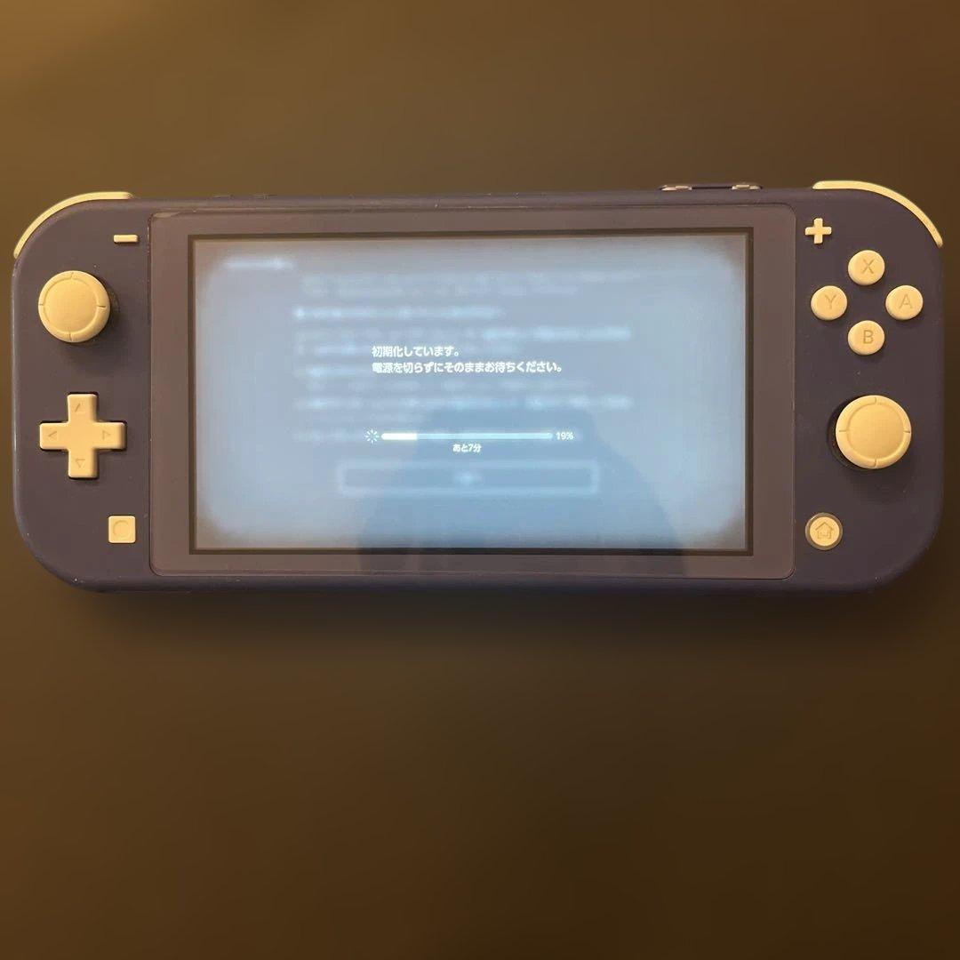 カ*ル様 Nintendo Switch Lite ブルー 充電器、ケース付き