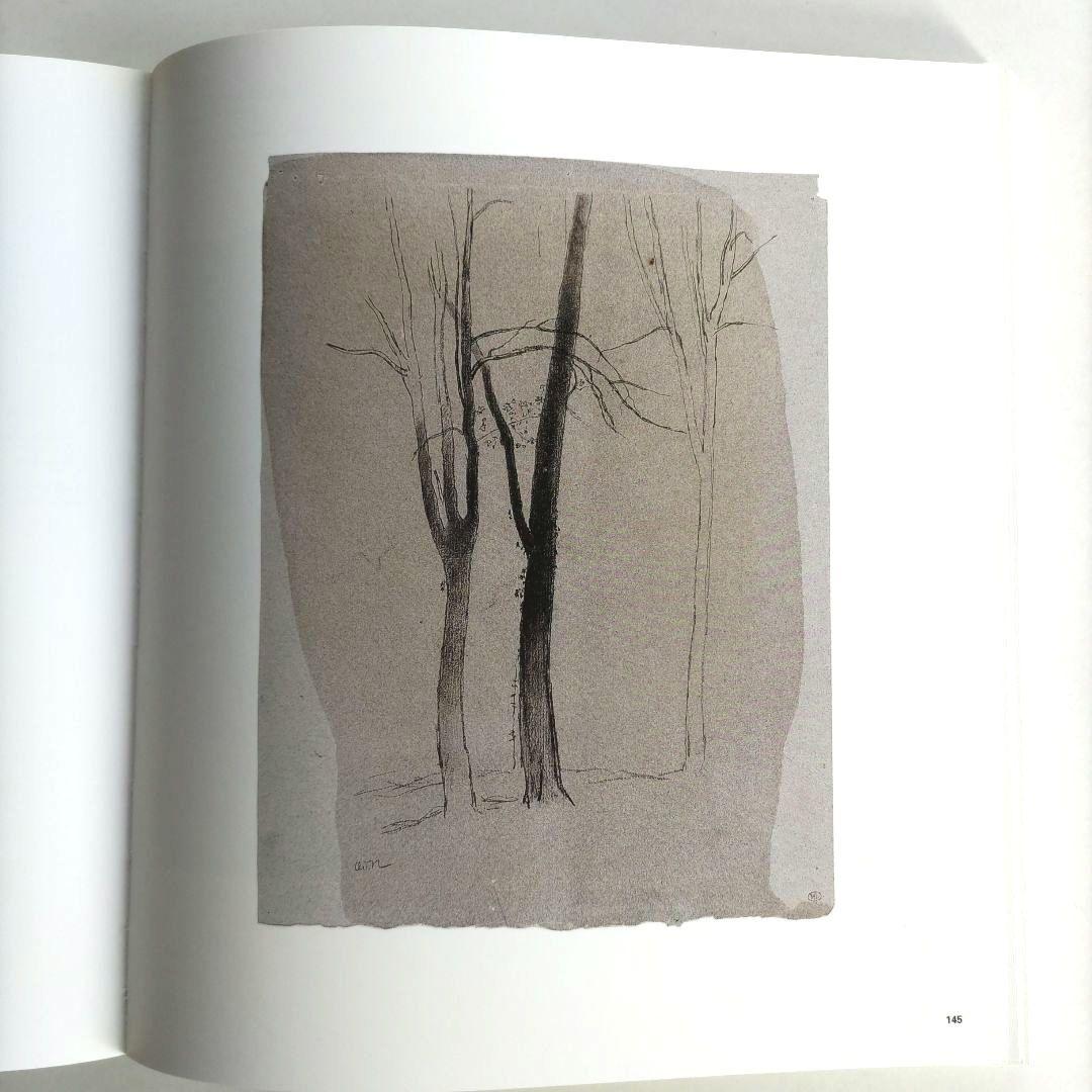 Redon/オディロン・ルドン 画集 作品集 絵画 アート