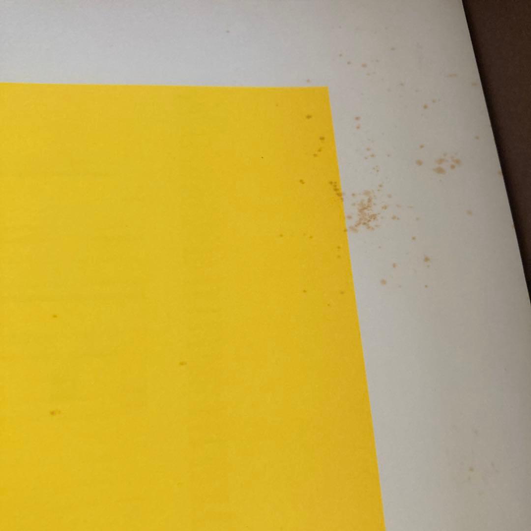 ブラウン・バニー プレミアムBOX 2000セット完全限定生産　Ｔシャツ付き。