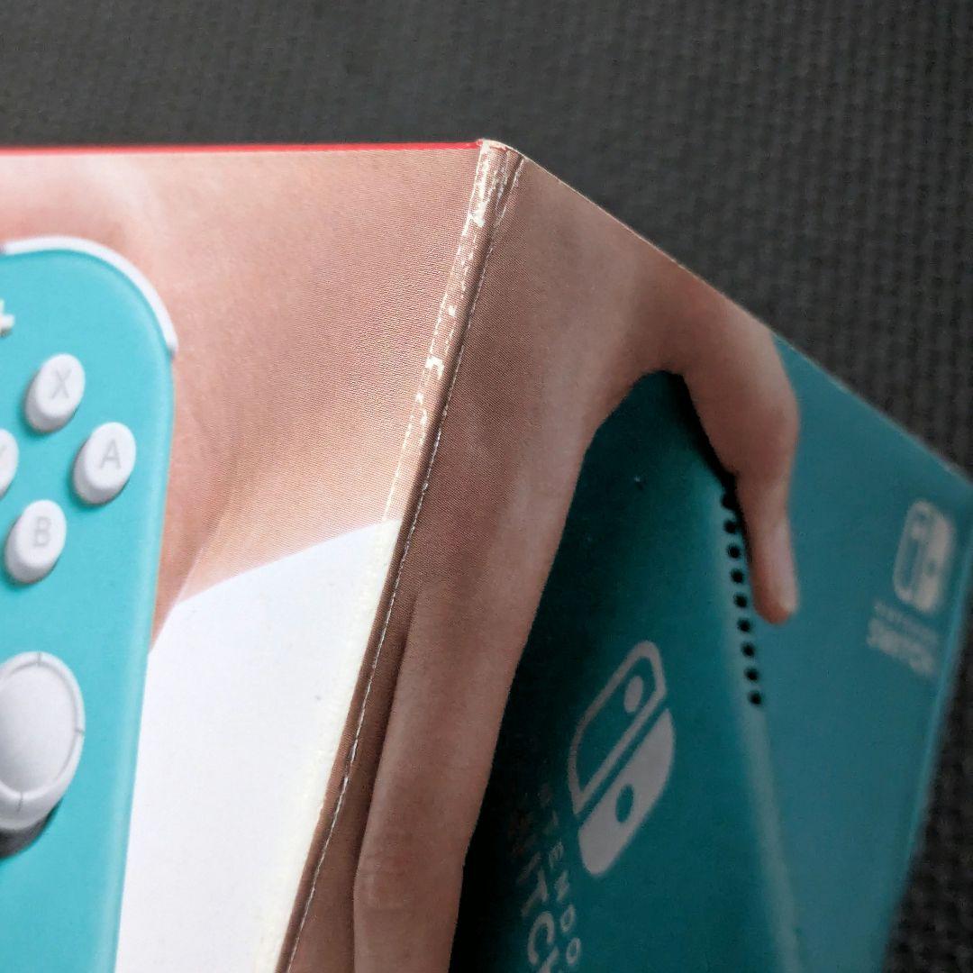 Nintendo Switch Lite ターコイズ ポーチ・クリアケース付き