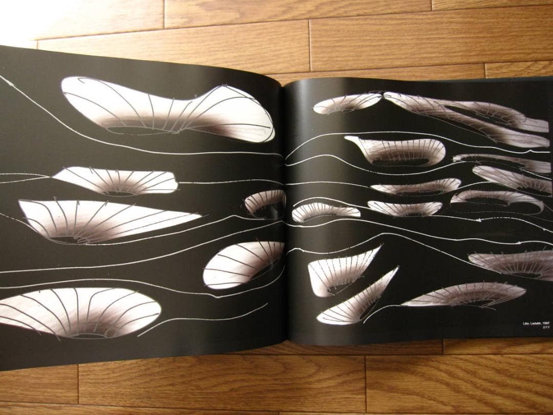 Light Space　Licht Raum　Wolfgang Rang