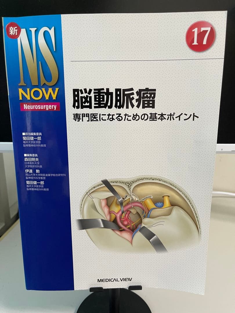 NS NOW 脳動脈瘤 17