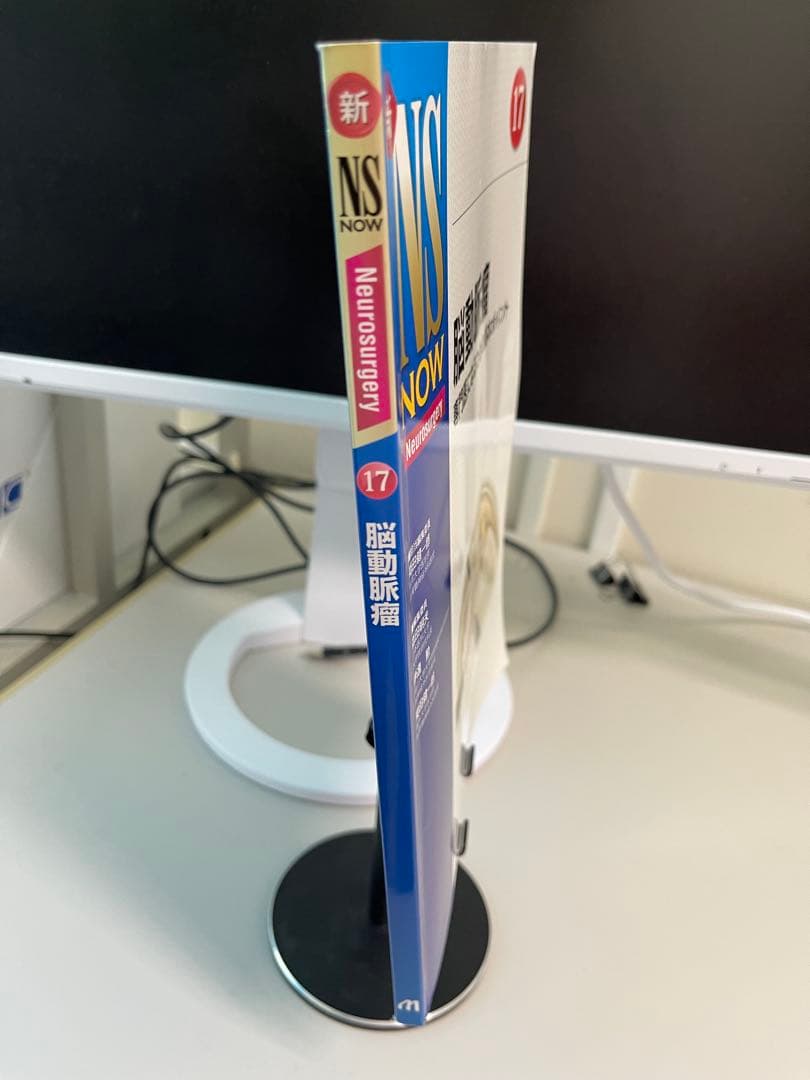 NS NOW 脳動脈瘤 17