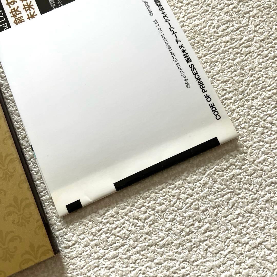 コード•オブ•プリンセス 西村キヌ アートワークス+公式設定資料集　帯付き 初版