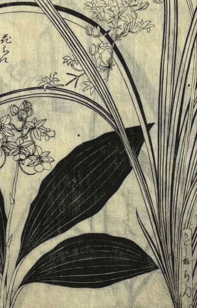 【真作】江戸時代　木版画　３枚セット