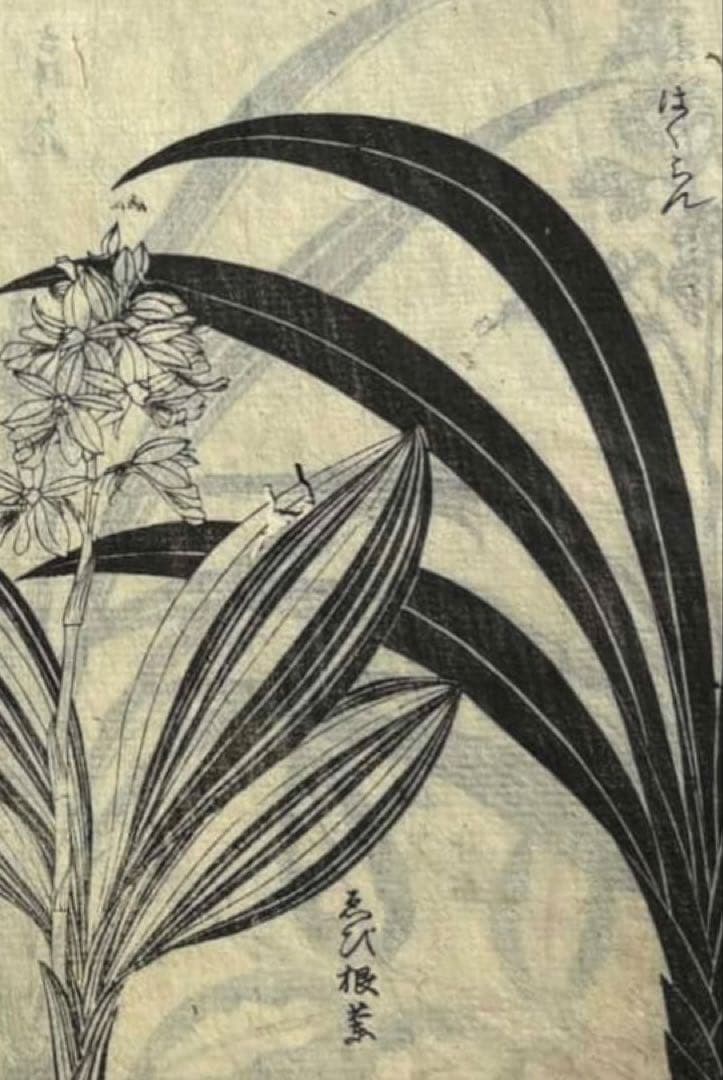 【真作】江戸時代　木版画　３枚セット