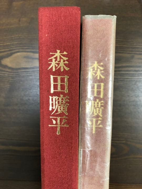 森田曠平　原色　図版　限定版
