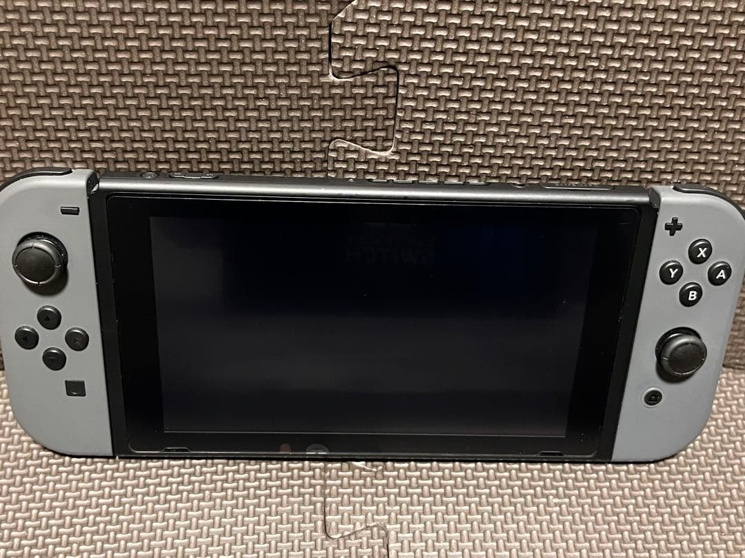 Nintendo Switch 本体 グレー (箱あり・キャリングケース付)