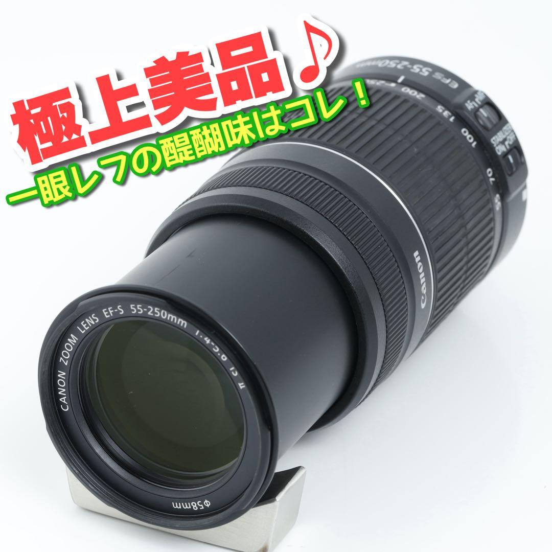 199★EF-S55-250IS Ⅱ★Canonキヤノン★望遠ズームレンズ